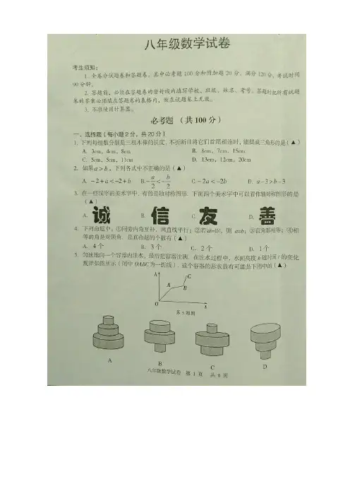 2019年嵊州市八年级上册期末数学试题有答案(图片版)-名校版