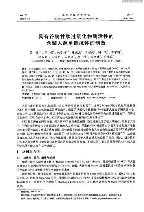 具有谷胱甘肽过氧化物酶活性的含硒人源单链抗体的制备