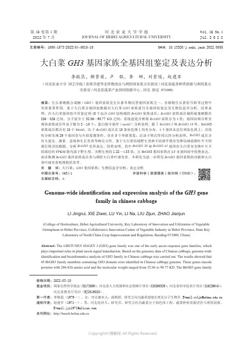 大白菜GH3基因家族全基因组鉴定及表达分析
