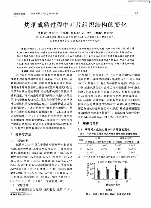 烤烟成熟过程中叶片组织结构的变化