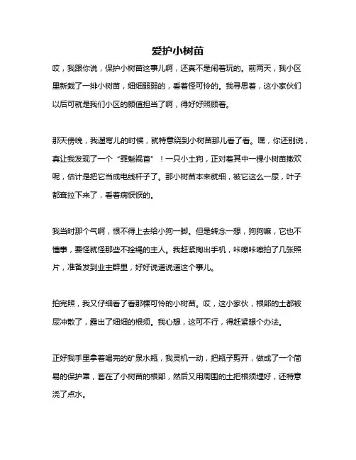 作文《爱护小树苗》