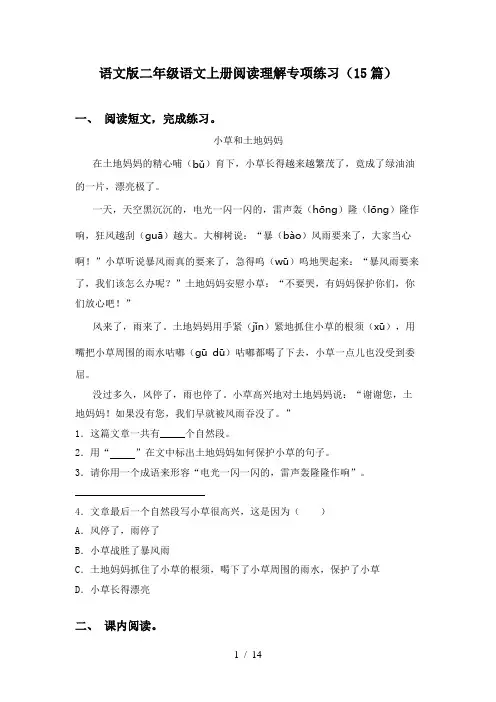语文版二年级语文上册阅读理解专项练习(15篇)