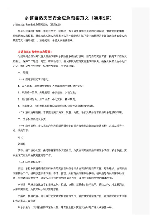乡镇自然灾害安全应急预案范文（通用5篇）