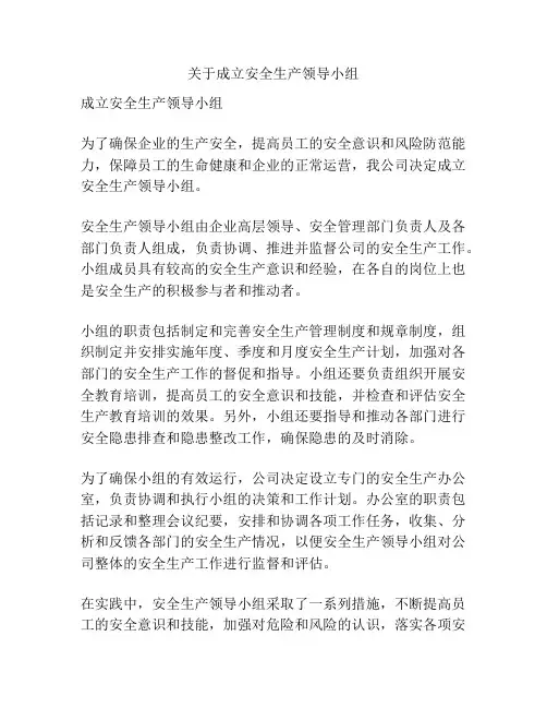 关于成立安全生产领导小组