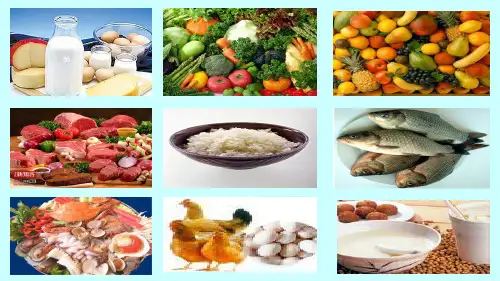 人教版七年级下册生物：科学 技术 社会 “第七类营养素”——膳食纤维 (共17张PPT)