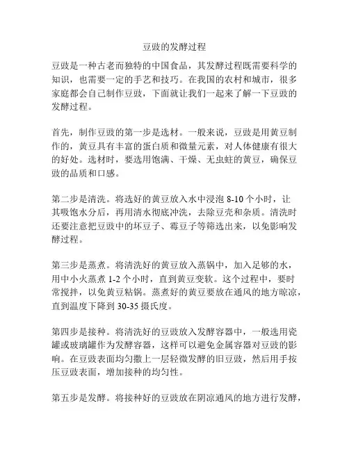 豆豉的发酵过程