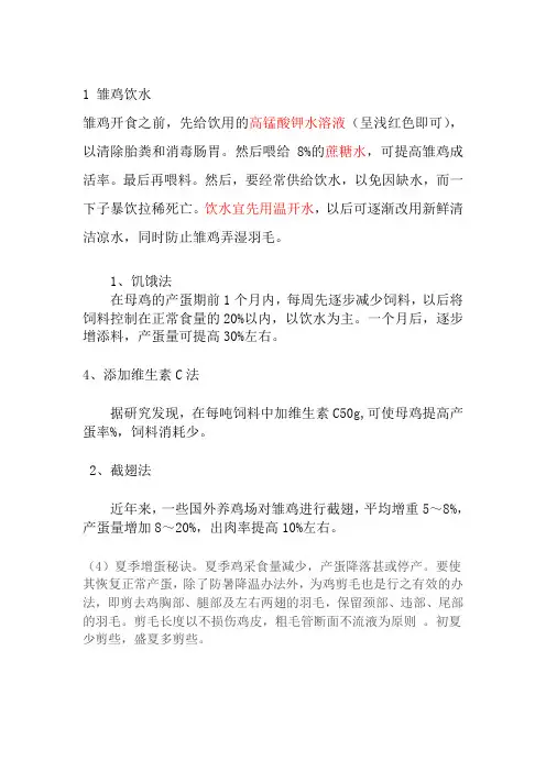 养鸡