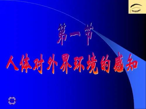 眼睛和视觉ppt课件