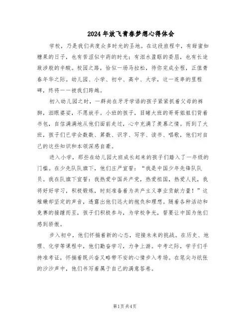 2024年放飞青春梦想心得体会（三篇）