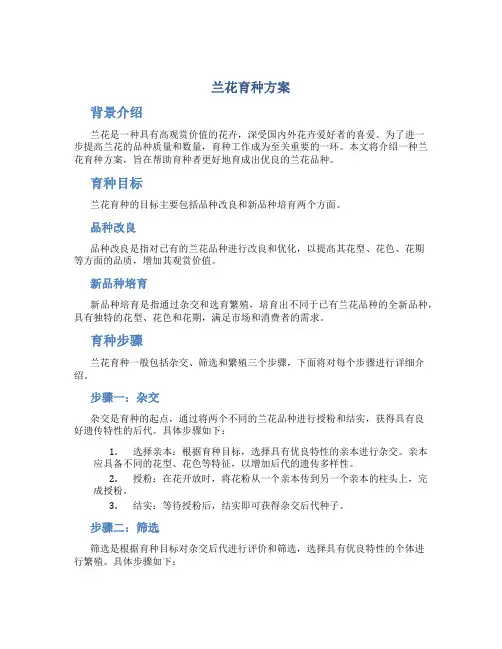 兰花育种方案