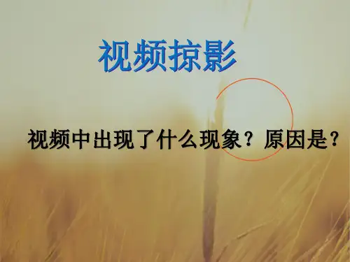 广东省廉江市实验学校高中政治必修一课件：2-1影响价格的因素 共28张 精品