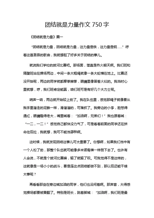 团结就是力量作文750字