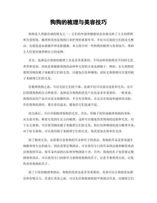 狗狗的梳理与美容技巧