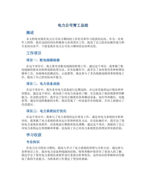 电力公司青工总结