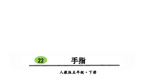五年级下册语文课件-第八单元22 手指 人教部编版(共47张PPT)