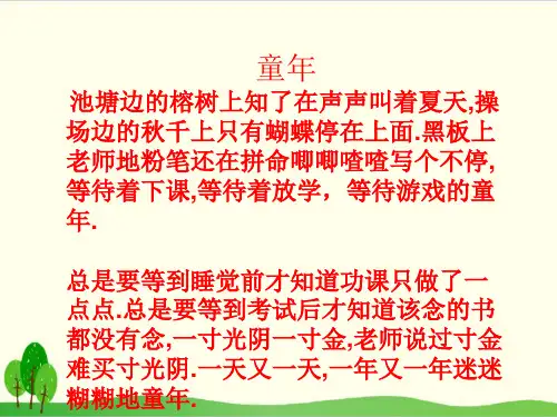 五年级语文下册 .冬阳童年骆驼队 统编版教材部编版(共张PPT)