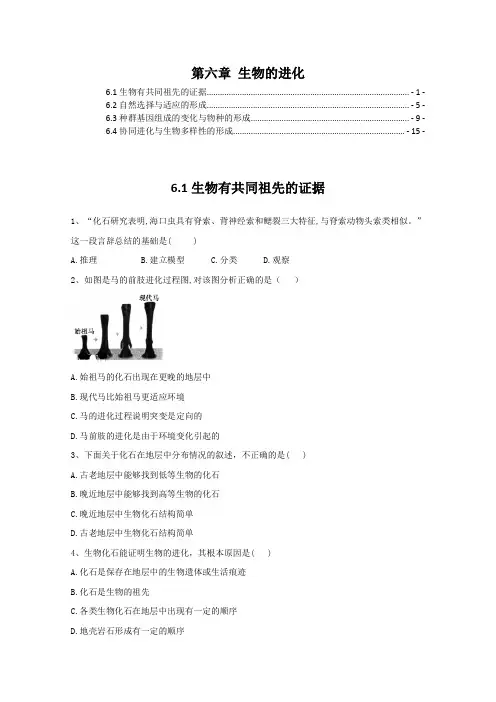 新教材人教版高中生物必修2第六章生物的进化 课时练习题 含解析