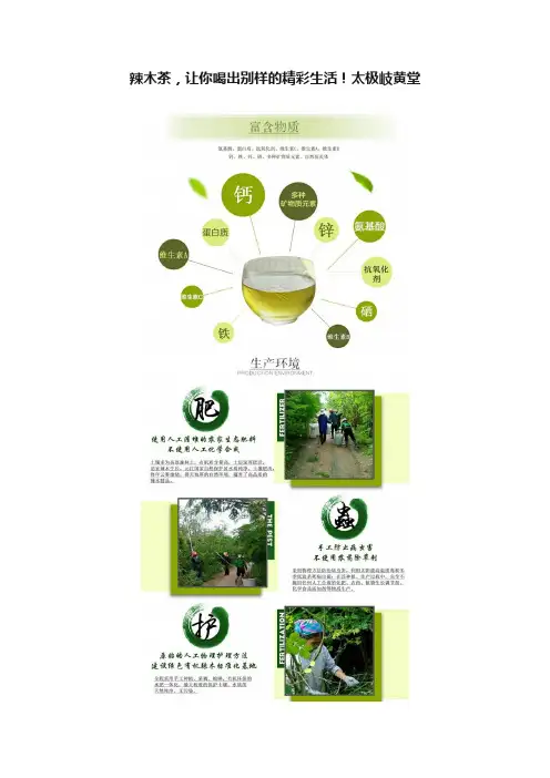 辣木茶，让你喝出别样的精彩生活！太极岐黄堂
