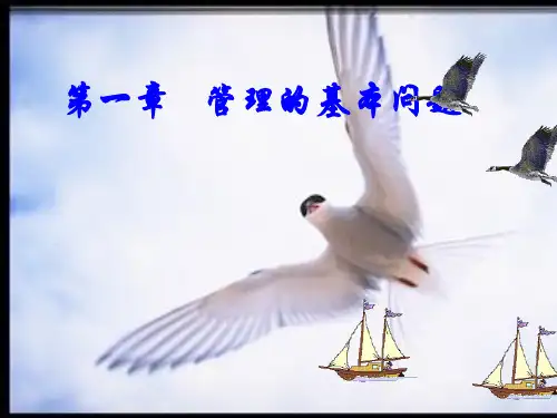 第一章---管理的基本问题