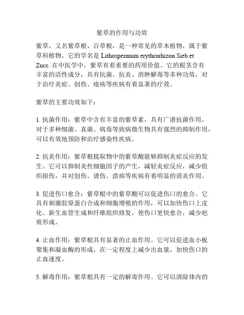 紫草的作用与功效