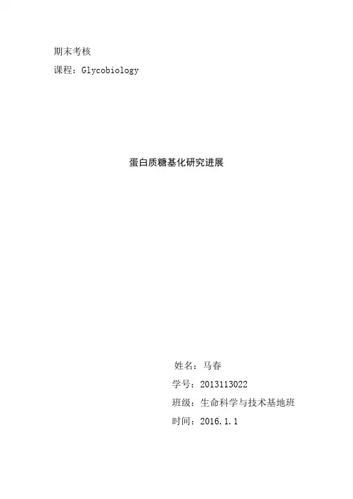 蛋白质糖基化修饰研究进展