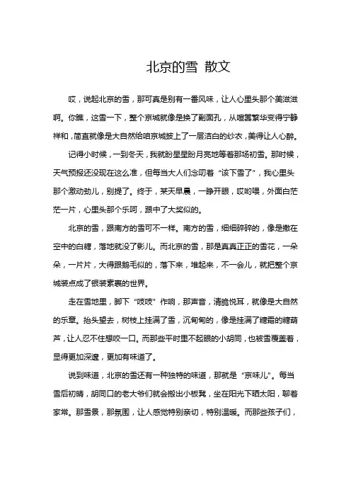 北京的雪 散文