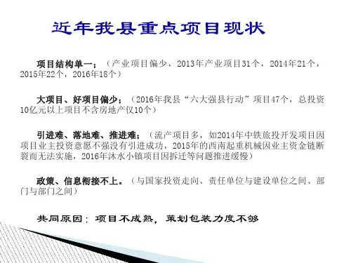 新形势下投资项目的策划包装与推进(ppt 40张)