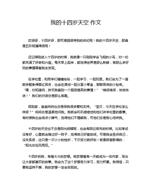 我的十四岁天空 作文