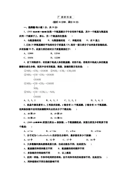 高中生物必修一第2章  第2节 蛋白质 课时作业