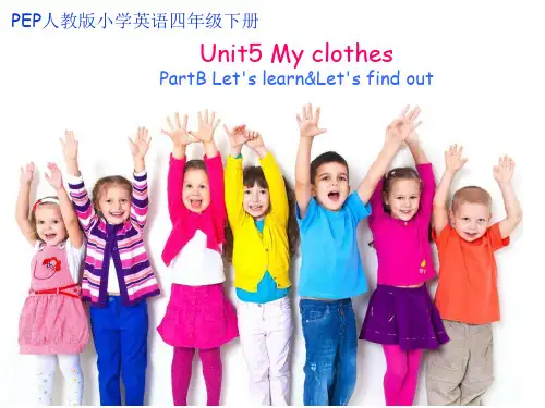 Unit 5 My clothes  课件B