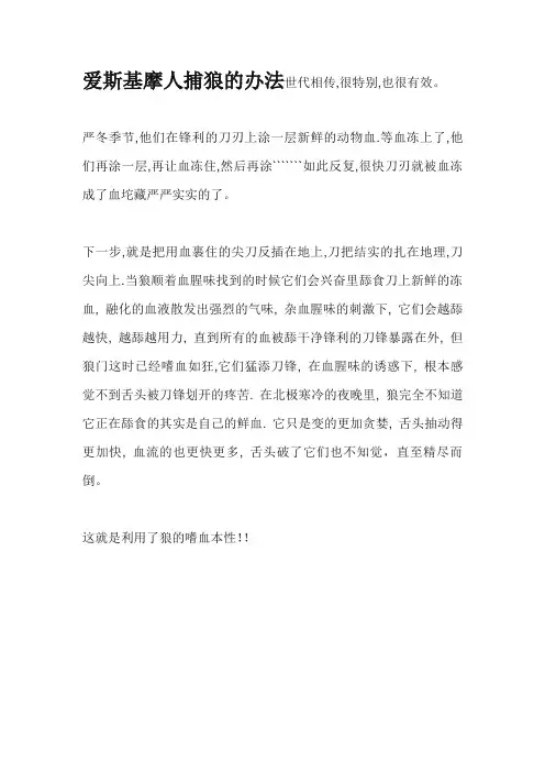 爱斯基摩人捕狼的办法