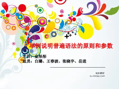 普遍语法的原则和参数