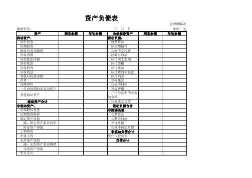 最新政府会计制度资产负债表模板