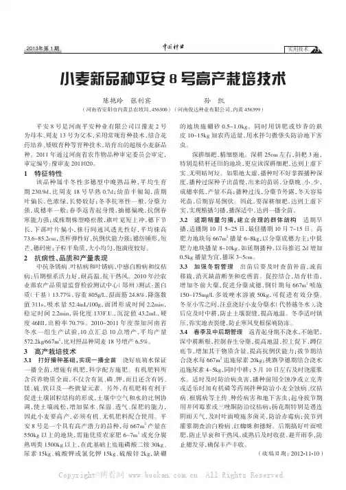 小麦新品种平安8号高产栽培技术