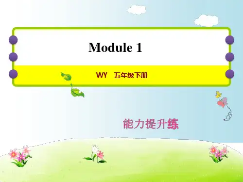 外研版(三年级起点)五年级下册英语Module1练习课件