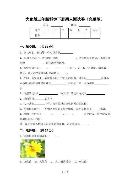 大象版三年级科学下册期末测试卷(完整版)