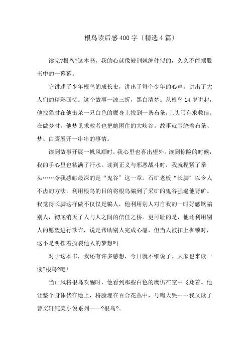 根鸟读后感400字(精选4篇)精选
