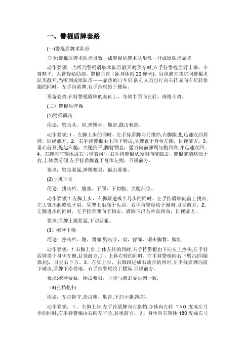 警棍盾牌术教案详细十二动【范本模板】