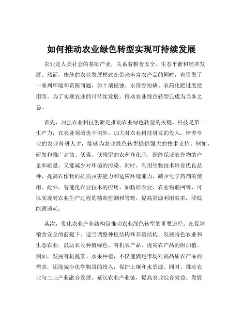 如何推动农业绿色转型实现可持续发展
