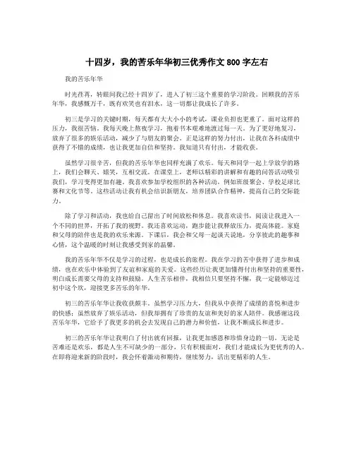 十四岁,我的苦乐年华初三优秀作文800字左右