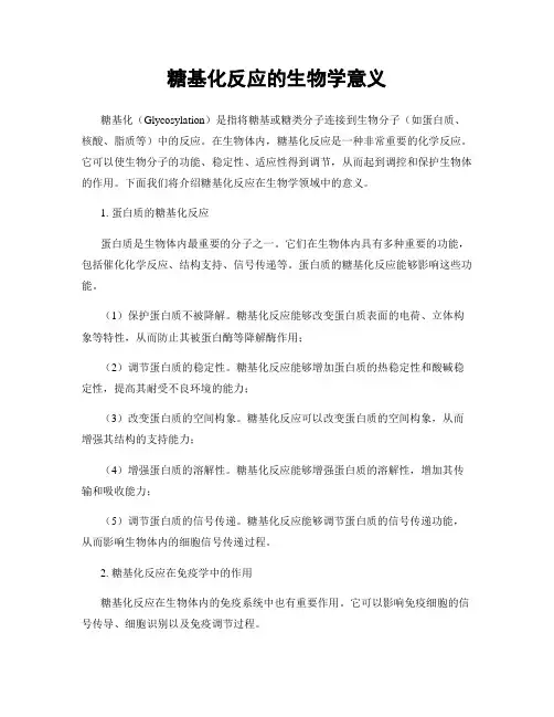 糖基化反应的生物学意义