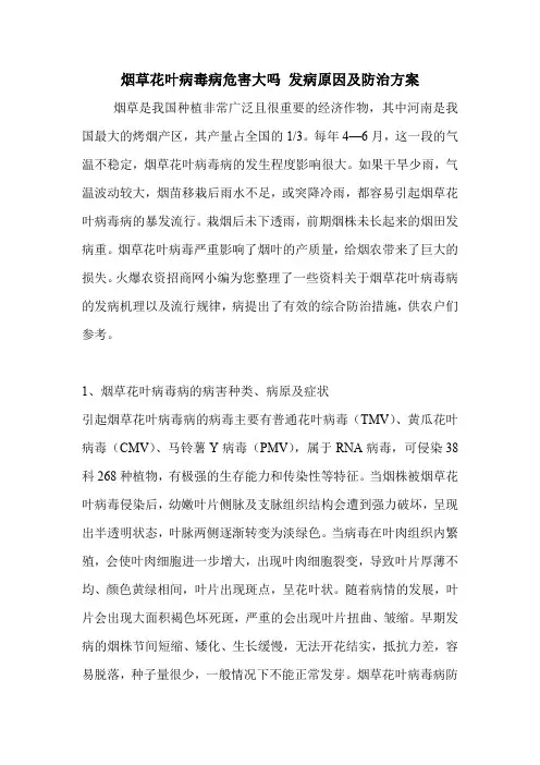 烟草花叶病毒病危害大吗 发病原因及防治方案.doc