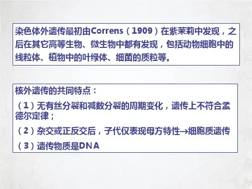 线粒体疾病课件PPT