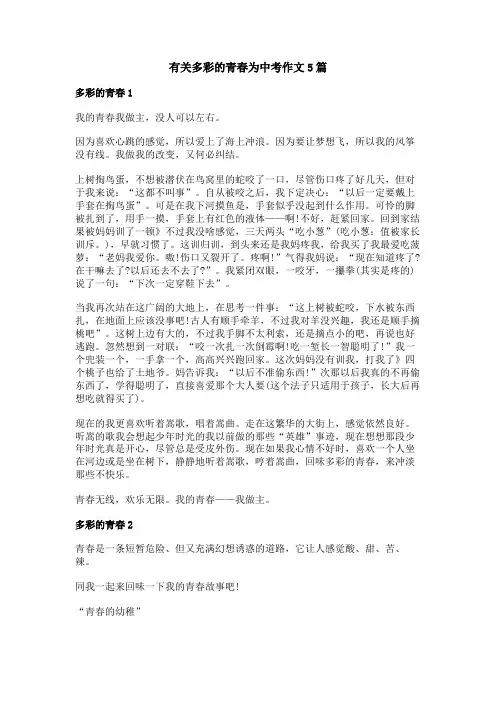 有关多彩的青春为中考作文