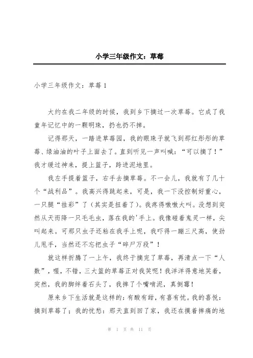 小学三年级作文：草莓