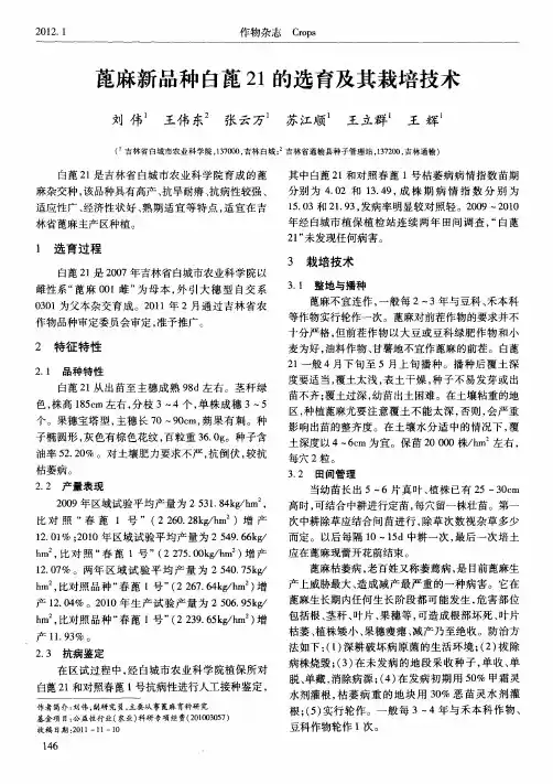 蓖麻新品种白蓖21的选育及其栽培技术