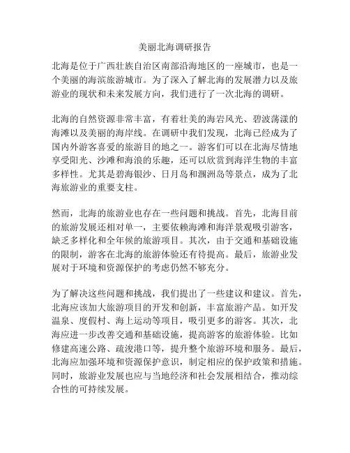 美丽北海调研报告