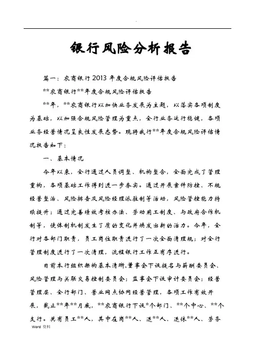 银行风险分析报告