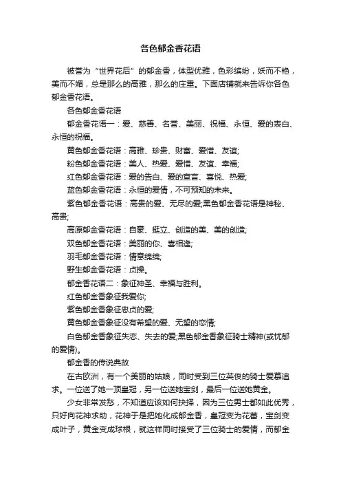 各色郁金香花语