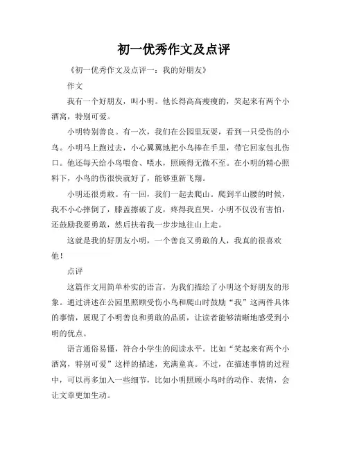 初一优秀作文及点评
